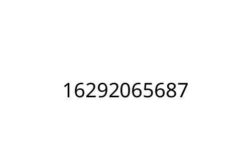 16292065687