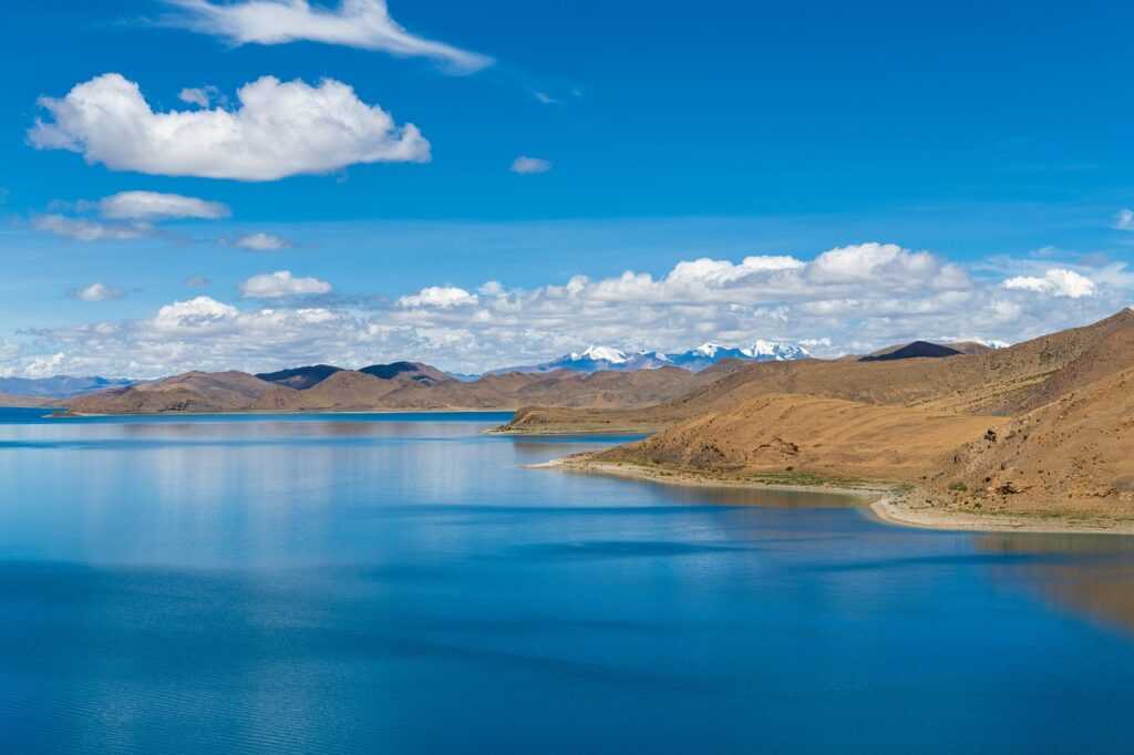 if you look someone up on instagram will they know