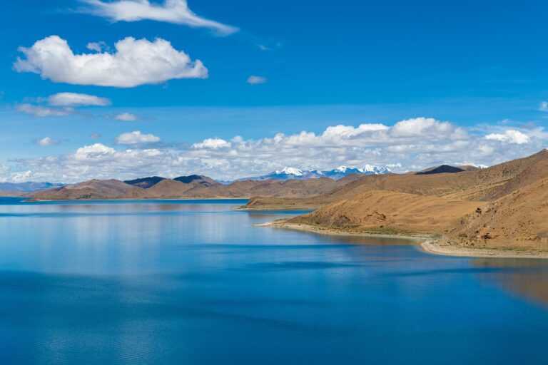 if you look someone up on instagram will they know