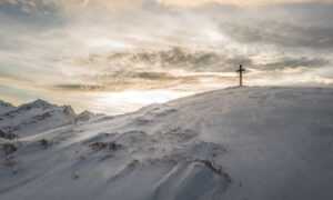 colour in food s-40533e1(exw)