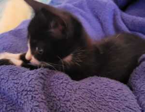 why i can't run warepad0.2 code