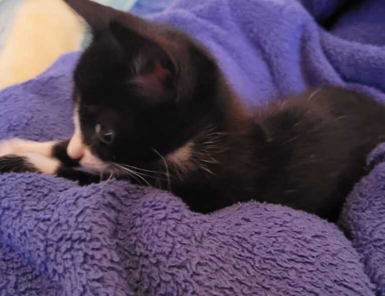 why i can't run warepad0.2 code