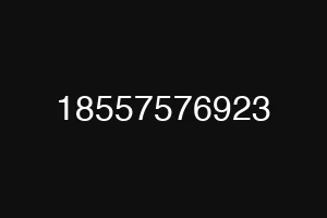 18557576923