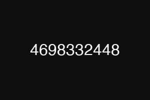 4698332448