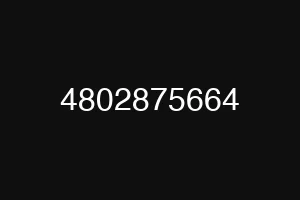 4802875664