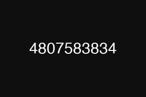 4807583834