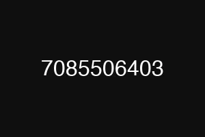 7085506403