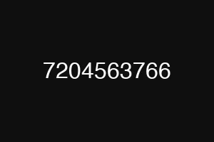 7204563766