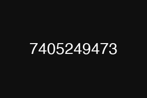 7405249473