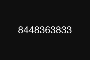 8448363833