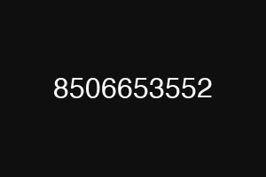8506653552
