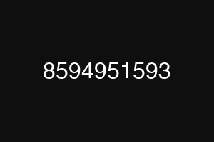 8594951593