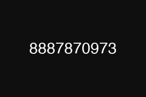 8887870973