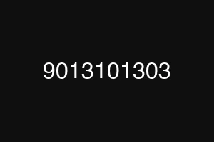 9013101303