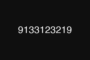 9133123219