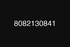 8082130841