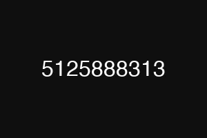 5125888313