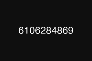 6106284869