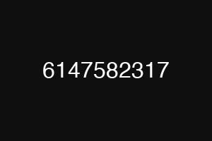 6147582317