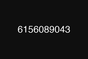 6156089043