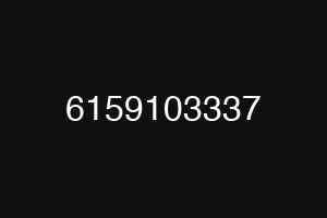 6159103337