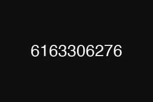 6163306276