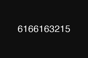 6166163215