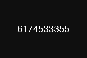 6174533355