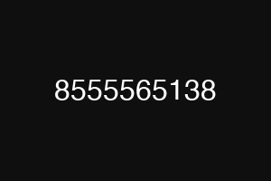 8555565138